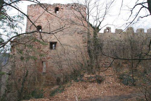 Burg Haut-Ribeaupierre