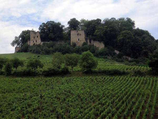 Burg Arlay