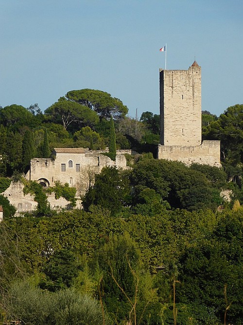 Burg Sommières (Château de Sommières) in Sommières