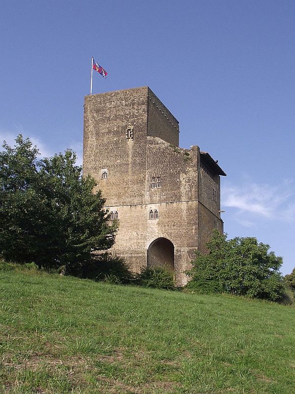 teilweise erhaltene Burg Termes-d'Armagnac (Tour de Termes-d'Armagnac) in Termes-d'Armagnac