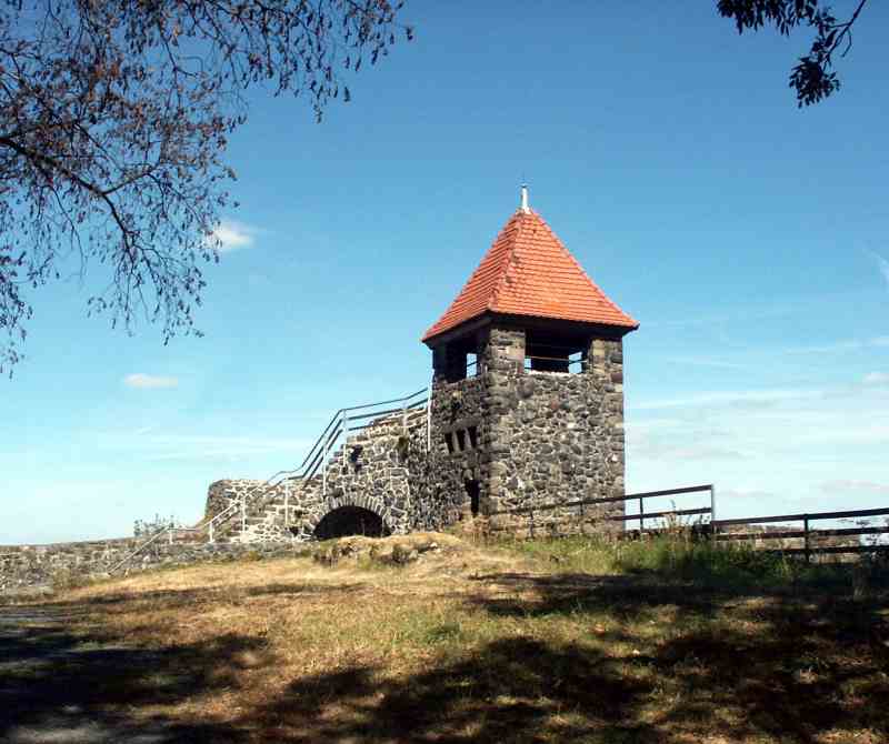 Burgruine Ulrichstein in Ulrichstein