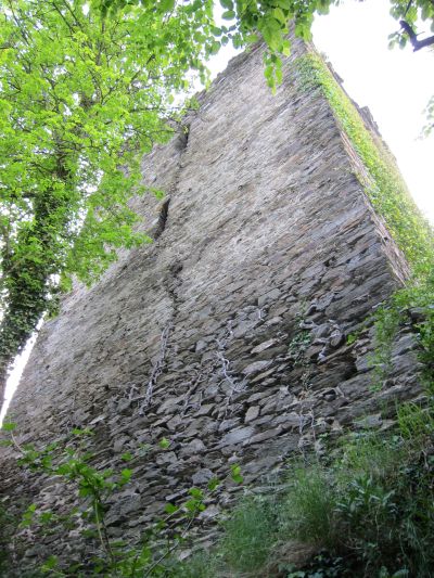Burgruine Rheinberg in Lorch