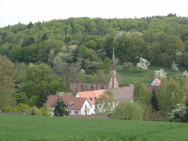 Klosterruine Rosenthal (Sankt Maria in Rosenthal) in Kerzenheim-Rosenthal