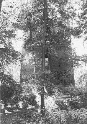 Burgruine Nehringen (Fangelturm) in Grammendorf-Nehringen