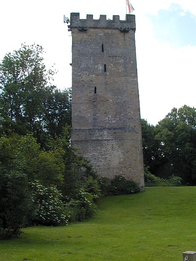 teilweise erhaltene Burg Wohldenberg (Wohldenburg) in Holle-Sillium