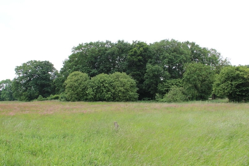 verschwundene Burg Mansingen (Hammjeborg) in Westerstede-Mansie