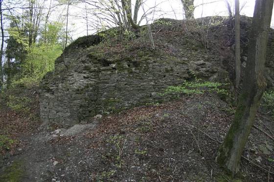 Burg Borghausen