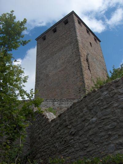 Burg Lichtenberg in Thallichtenberg