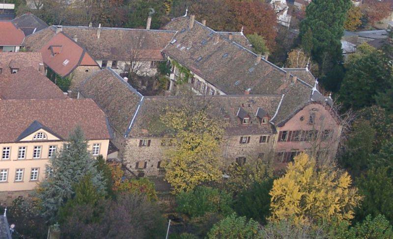 teilweise erhaltenes Schloss Deidesheim in Deidesheim