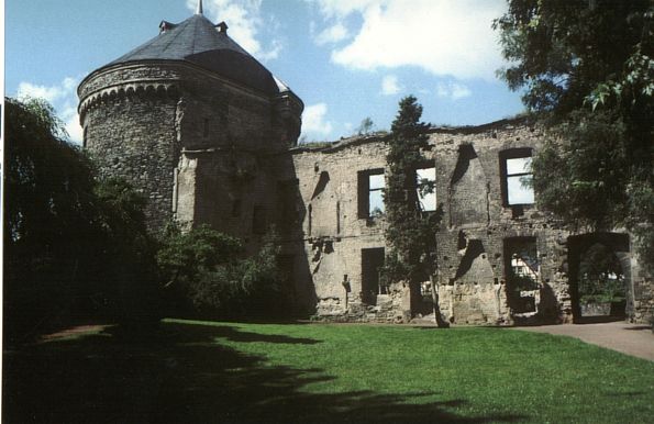 Burgruine Andernach in Andernach