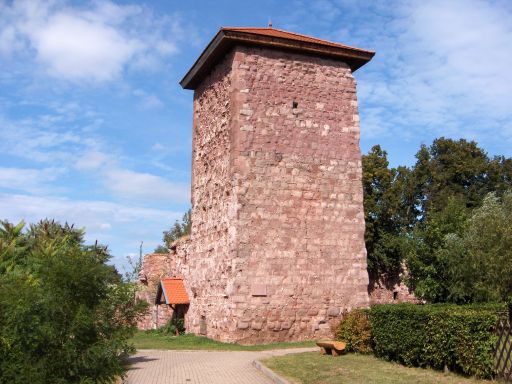 Burgruine Kelbra in Kelbra (Kyffhäuser)