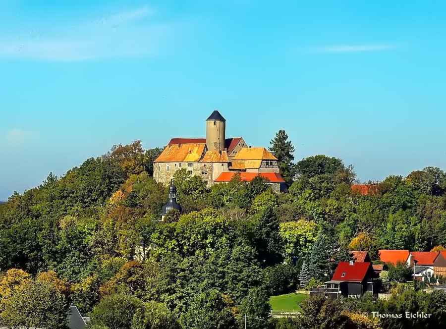 Burg Schönfels (Schönfels, Altschönfels, Alt-Schönfels (1548)) in Lichtentanne-Schönfels