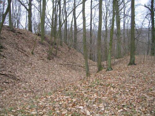 spätkeltische bis hochmittelalterliche Höhenbefestigung Birg in Schmelz-Limbach